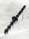Árbol de levas BMW Serie 3 335i (N55)