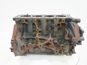 Bloque motor Ford Transit V363 2.0 EcoBlue YNF6 GK2Q-6015-AB