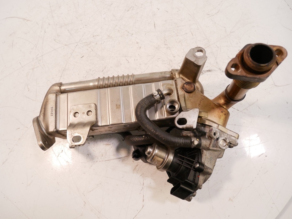 [MTD-451889] Enfriador de gases de escape BMW Mini 1.5 B37C15A 8515891