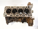 Bloque motor Ford Transit FCD FDD 2.0 EcoBlue YNR6 GK2Q-6015-AB