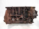 Bloque motor Ford Transit F B D 2.0 EcoBlue BLFB GK2Q-6015-BB