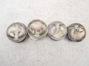 4x Pistones VW Passat B7 Beetle 2.0 TSI DDSA DDS 82L199