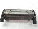 Intercooler Kia Sorento II XM