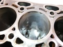 Bloque motor Audi A3 VW Golf 1.6 TDI CRKB CRK 04L023A