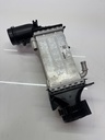 Intercooler Skoda Scala NW1 1.5 TSI DXDB DXD 04E145785P 12.000km