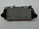 Radiador Intercooler Hyundai Tucson TLE 2.0 CRDI D4HA 28270-2F950