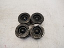 4x Pistones Citroën Peugeot 1.6 BlueHDI BH02 BHY DV6FD 75L118