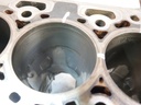 Bloque motor Ford Transit FAD 2.0 EcoBlue YNF6 GK2Q-6015-AB