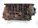 Bloque motor Ford Transit FZ V362 2.0 EcoBlue YMF6