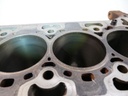 Bloque motor Ford Transit 2.0 Ecoblue 4x4 RWD YMR6 GK2Q-6015-AB