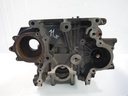 Bloque motor Ford Transit V363 FCD 2.0 EcoBlue YMR6