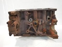 Bloque motor Ford Transit 2.0 EcoBlue BKFB YMFS GK2Q-6015-BB