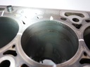 Bloque motor Ford Transit V363 2.0 EcoBlue YMR6 YMRA GK2Q-6015-AB