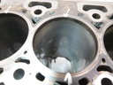 Bloque motor Ford Transit Custom Tourneo 2.0 EcoBlue YLF6 GK2Q-6015-BB