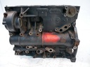 Bloque motor Seat Alhambra / VW Sharan 2.0 TDI DFLA DFL 03N023C