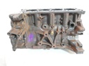 Bloque motor Ford Transit FY 2.0 EcoBlue YMF6 GK2Q-6015-AB