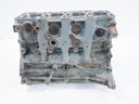 Bloque motor Fiat Bravo Doblo 1.6 JTD Multijet 198A3000 55254220