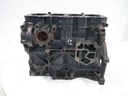 Bloque motor Audi Seat Skoda VW 2.0 TDI BMN 03G021AC