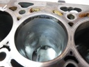 Bloque motor Skoda Seat Octavia Ibiza 1.6 TDI DGTA DGT 04L023E
