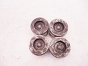 4x Pistones Ford Tourneo V362 2.0 EcoBlue YLF6 FM-1