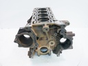 Bloque motor Ford Transit 2.0 EcoBlue Diésel 130 CV YMR6