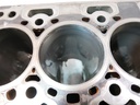 Bloque motor Ford Transit V362 V363 2.0 YLF6 GK2Q-6015-AB