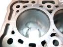 Bloque motor Ford Transit FDD FCD 2.0 EcoBlue YMR6 GK2Q-6015-AB