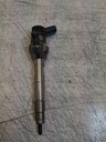 Inyector BMW X3 F25 2.0 xDrive 20d