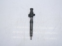 Inyector Ford Kuga DM2 2.0 TDCi T7MD C20DD0X 9674984080