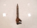 Inyector VW Amarok 2.0 BiTDI TDI Diesel CNEA CNE 03L130277J
