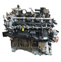 Motor Audi Q7 SQ7 Q8 SQ8 4.0 DWRB