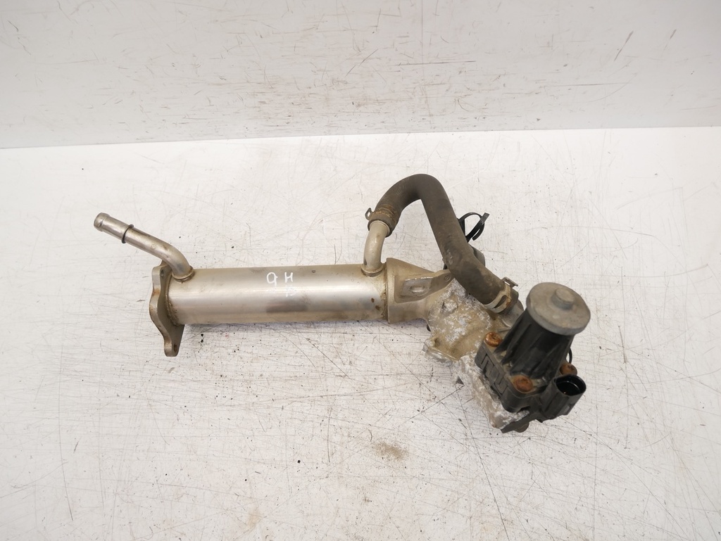[MTD-455760] Enfriador de gases de escape Ford Transit F3 2.2 TDCI CYFF BK2Q-9D475-CC