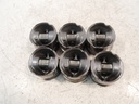 6x Pistones Jaguar XF X260 3.0 D 306DTA GEN2 H268X