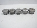 5x pistones BMW Serie 5 E39 2.2 520i M54B22 226S1 M54 79950072
