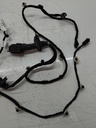 Cableado de puerta trasera izquierda Peugeot 308 SW III FC 1.5 YHZ DV5RC 9843638980