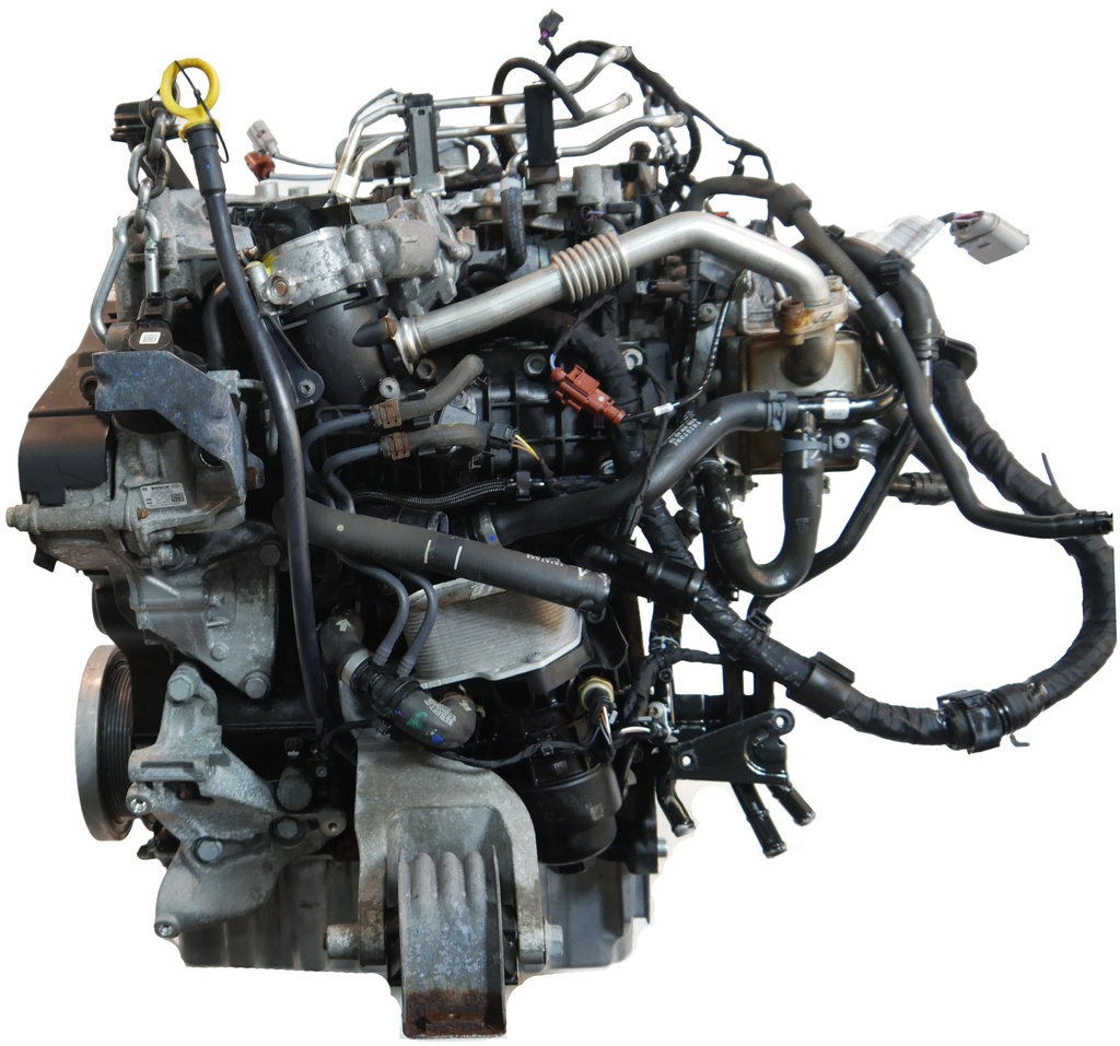 [MTD-495148] Motor VW Transporter T6 2.0 TDI