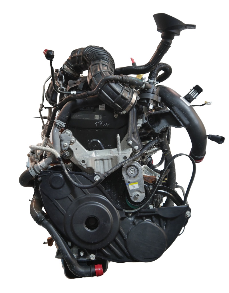 [MTD-486104] Motor Ford Transit V363 2.0 EcoBlue N0HA