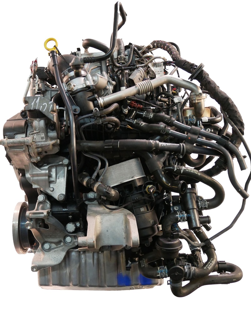 [MTD-435915] Motor VW Transporter T6 2.0 TDI