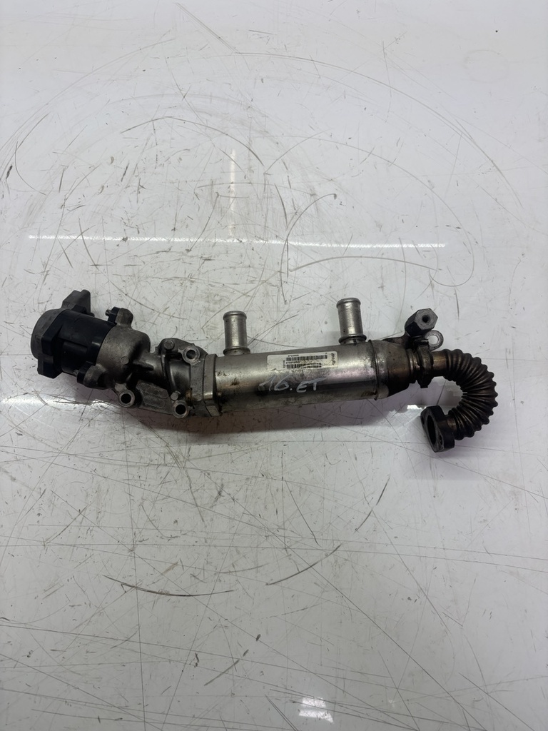 [MTD-509735] Enfriador de gases de escape Citroen C6 TD 2.7 HDi V6 UHZ DT17TED4 876399S