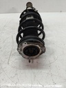 Puntal de suspensión FORD FIESTA VI 1.0 EcoBoost SFJC C1BC-18045-BF