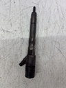 Inyector Fiat Ducato 250 2.3 Diésel F1CE3481M 504389548 0445110418