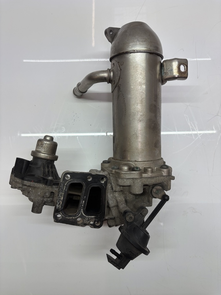 [MTD-455230] Enfriador de gases de escape Para Ford Transit V362 2.0 EcoBlue YLF6 GK2Q-9F464-AB