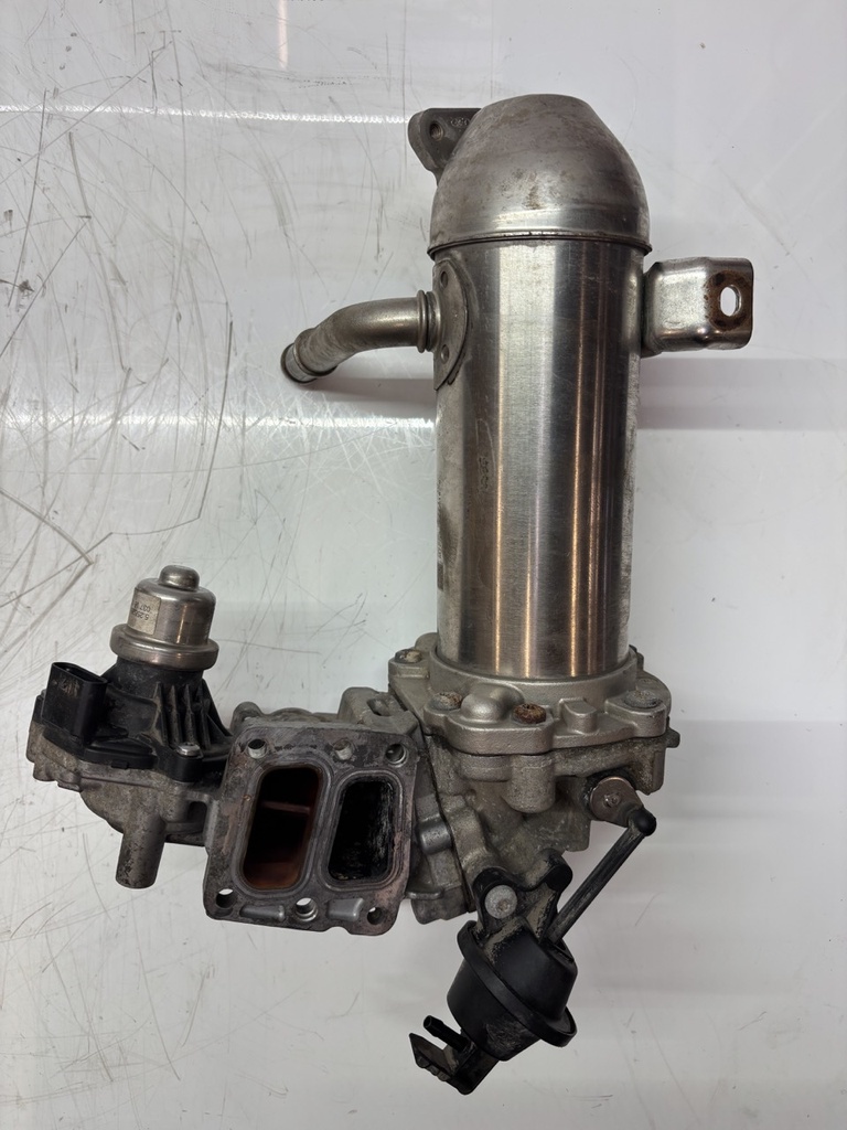 [MTD-457783] Enfriador de gases de escape Para Ford Transit V363 2.0 EcoBlue YMR6 GK2Q-9F464-AD