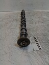 Árbol de levas VW Golf 1.6 TDI CAY CAYC