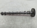 Árbol de levas de escape Opel Astra 2016 B16DTU 55570028
