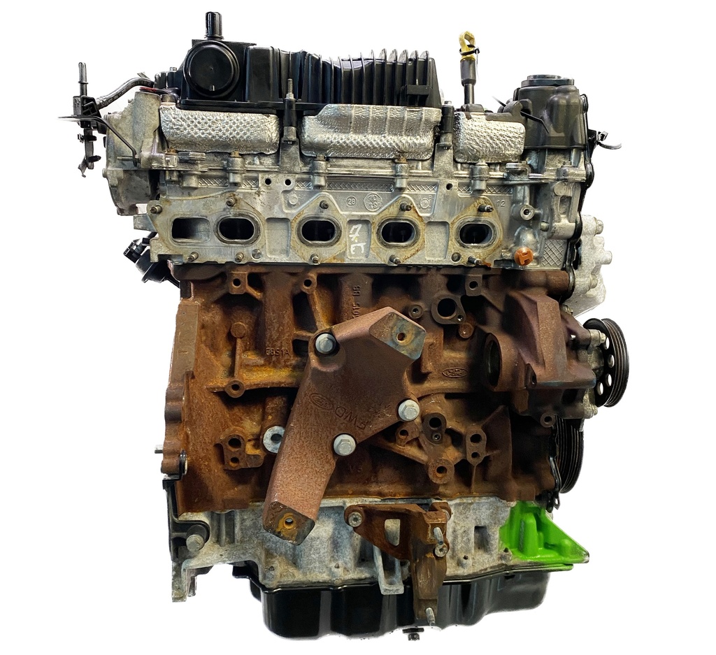 [MTD-391362] Motor Ford Transit V362 V363 2.0 EcoBlue