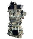Motor BMW Serie 5 (G30/G31) 3.0 d