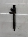 Inyector Land Rover Discovery L319 3.0 TD V6 306DT 9X2Q-9K546-DB