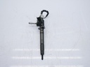 Inyector Land Rover Discovery 3.0 D 306DT FW93-9K546-AA 0445116061