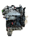Motor Nissan Navara 2.3 DCi YS23DDTT